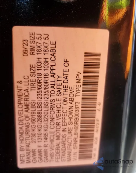 2024 Honda Odyssey Exl from USA, damaged, VIN 5FNRL6H65RB003873